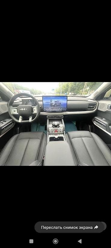 wuling mini ev: BYD FangChengBao Leopard 3: 2025 г. — 4
