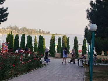 мастера по ремонту квартир: Койко-место, Н Бает — 1