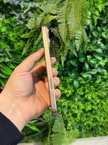 айпад про 10 5: IPhone 16 Pro Max, 256 ГБ, Золотой, 98 % — 3