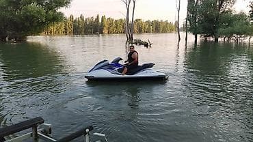 пожарный помпа: Без двигателя обмен есть — 1