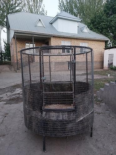 живой корм: Дакан Капас Дакан Короздорго Клетка — 2