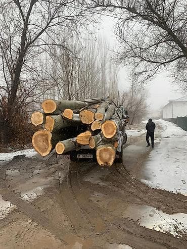 9 c: Стрела 8 м, 3 т, Борт 8000 кг — 4