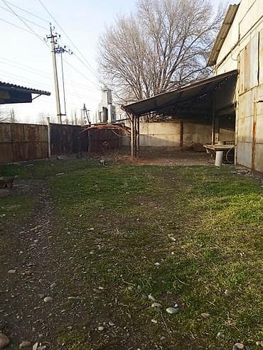 село петровка: Продается производственная база с фермой свинарником — 8