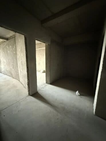 1комнатная квартира 39кв м: Элитка, Студия, 52 м² — 3