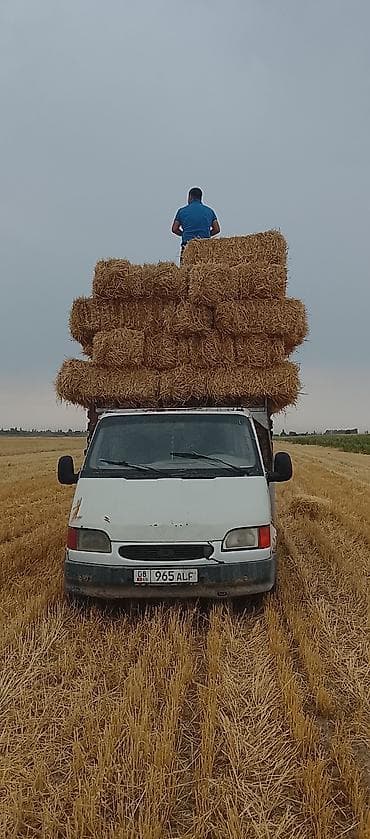 авто фышка: Легкий грузовик, Ford, Б/у — 1