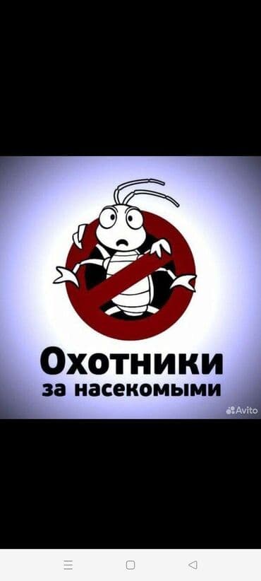 Дезинфекциялоо, дезинсекциялоо, | Канталалар, Бүргөлөр, Таракандар, | Транспорт, Офистер, Батирлер