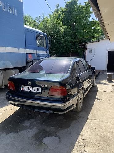 bmw e43: BMW 5 series: 1995 г., 2.5 л, Автомат, Бензин, Седан — 2