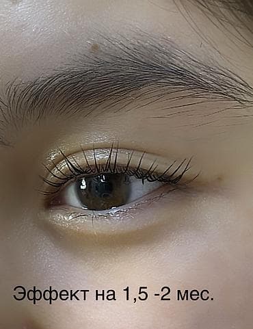 ботокс бишкек цены: Акция «Знакомство с мастером» Ламинирование ресниц + покраска+ботокс — 3