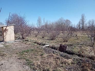 купольный дом под ключ цена: ПРОДАЁТСЯ ДОМ С УЧАСТКОМ 1 ГЕКТАР В СЕЛЕ Григорьевка (район пристани) — 10