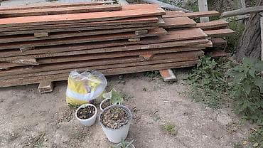 продам террасную доску: Напольные доски Б/у Цена договорная, по вопросам звонить на номер - — 3