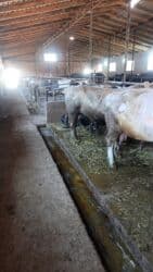 работа в бишкеке швейный цех упаковщик 2020: Талап кылынат Малчы, Төлөм Ай сайын — 2