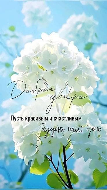 швеяга заказчик керек: В больное швейное производство требуется постоянный Заказчик — 1