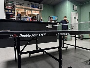 теннисный сто: Профессиональный стол для настольного тенниса Double Fish (серия — 3