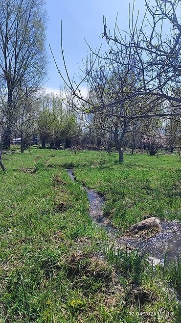 кызыл таш: 25 соток, Айыл чарба үчүн, Кызыл китеп — 2