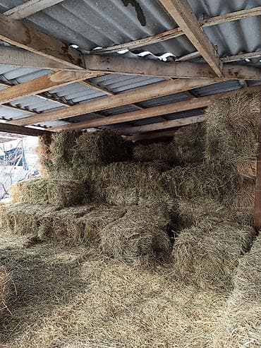 седло спортивные: Продается горное сено,тюки плотные метровые сделанные на совесть,цена — 2