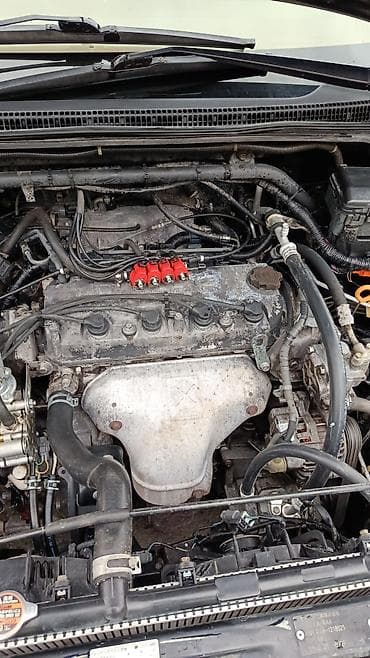 одиссей 2000: Honda Odyssey: 2002 г., 2.3 л, Бензин, Минивэн — 1