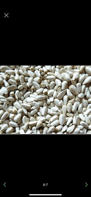 товары для животных: Сафлор-Жмых.
 Сафлор- Кунжара — 4