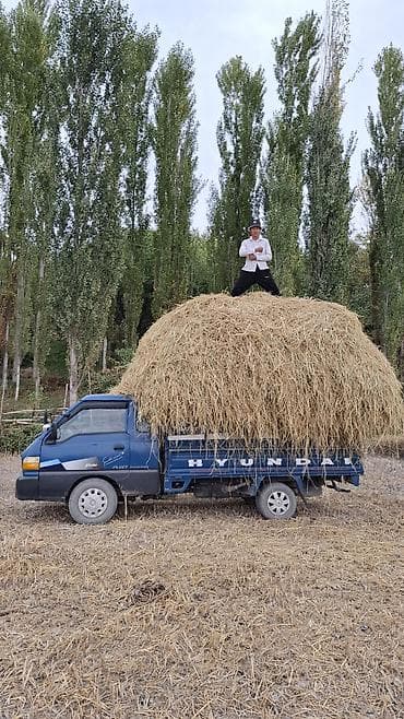 Транспорт: Потер 1 сатылат тех.абалы орто 2002 г.в портер 2 болсо алмашам 2010 — 7