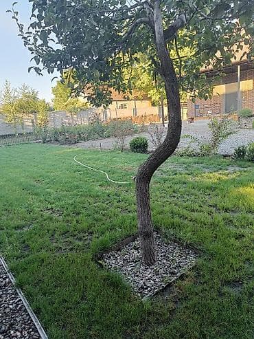 очки стекло: Навес, Другая форма, Металл, Другой материал — 2