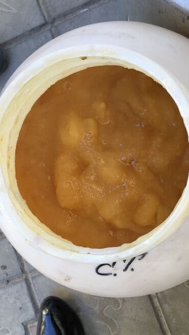 куда продать мёд оптом: Продаю тогтогульский мёд оптом . разнотравие . мёд чистый качество — 3