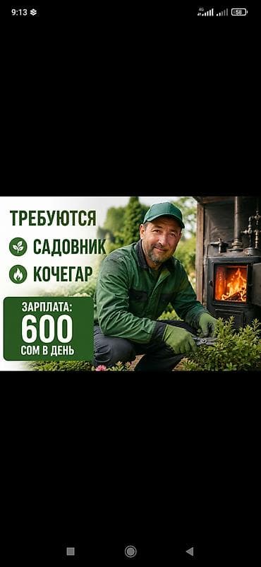 работа мастера: Вакансии: садовник и кочегар. Садовник: - Уход за зелеными — 1