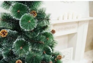 елки в горшках: Срочно!!! Продаю ёлку елку. Высота 2.10м. Ветки пушистые,7 ярусов по 6 — 8