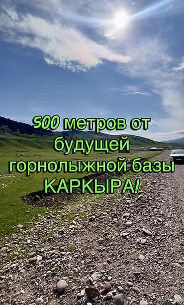 комната в рассрочку: 25 соток, Красная книга — 4