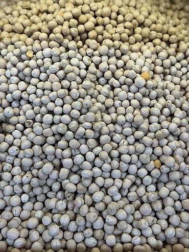 Сухофрукты, орехи, снеки: Цельный горох — сила растительного белка для вашего рациона 🌿 Оптом и — 3