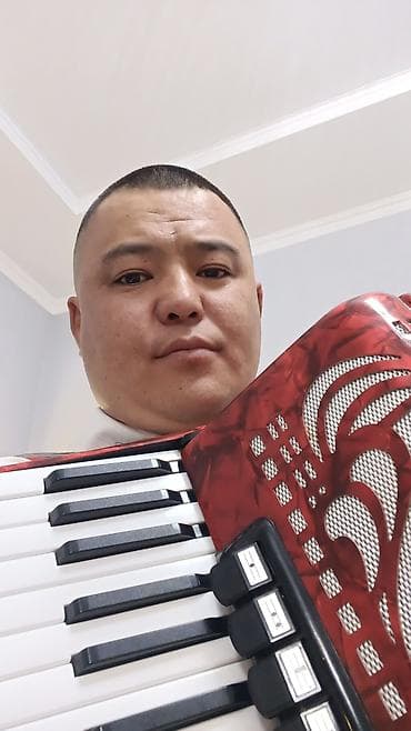 нотные книги: Профессиональный аккордеон с клавиатурой-пиано - Корпус: эффектный — 2