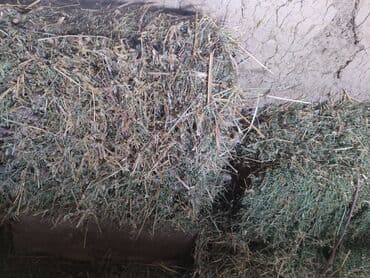 молочные коровы: Сено в тюках 320, 1 чи чабык беде Тапптаза эмес - Тюковая — 3
