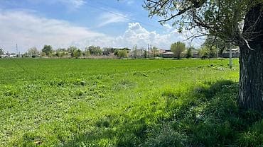 Недвижимость: 957 соток, Для бизнеса, Договор купли-продажи — 4