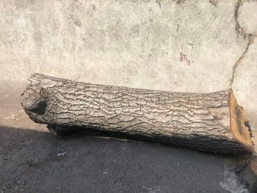 фрезерный станок по дереву с чпу для домашней мастерской цена: Большое бревно орех — 1