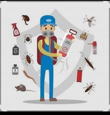 краска подбор: Дезинфекция, дезинсекция, | Клопы, Блохи, Тараканы, | Офисы, Квартиры, Дома — 3