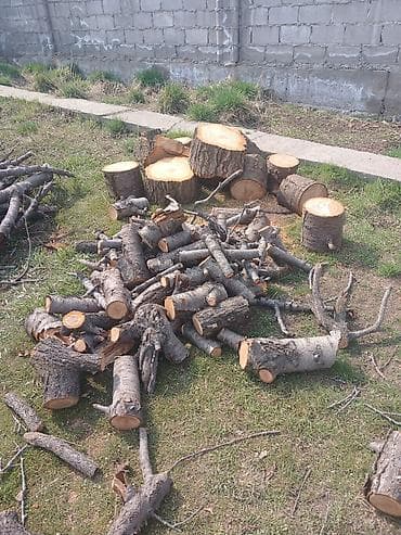 Бакча эмереги: Отун — 2