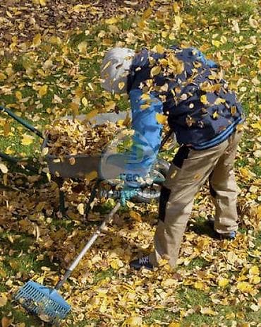 очистка: Уборка территории, Уборка двора и сада — 1