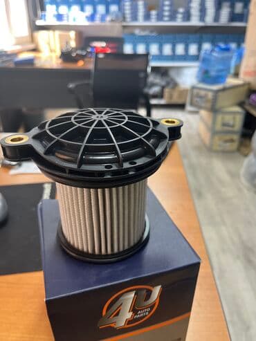 купить диван кровать в бишкеке: Фильтр на ретарду DAF XF 105/ MAN, IVECO,VOLVO, RENAULT 1828379 — 1