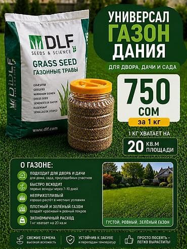 🌱 Газон универсальный (Дания) Цена: 750 сом за 1 кг ✔ Подходит для