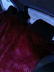 Mazda 323: 2002 г., Механика, Бензин