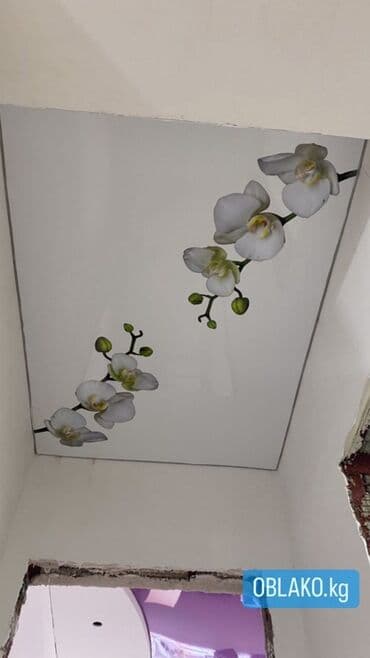 пластиковые панели для потолка цена бишкек: Натяжной потолок Глянцевое, Матовое, 3D потолки Бесплатный замер, Гарантия, Бесплатная консультация — 6