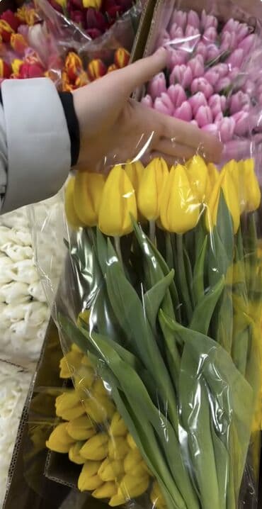 Гирлянды: Тюльпаны Оптом 🌼️ Хочешь покорить сердца миллионами улыбок? Начни с — 9