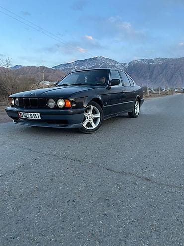 гофра е34: BMW 5 series: 1990 г., 2 л, Седан — 1