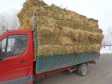 А/ч жаныбарлары үчүн тоюттар: Подпокровный 200шт аралаш доставка есть — 2