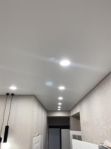 Шаймандарды ижарага алуу: Керме шыптар Жылтырабаган Монтаждоо — 6