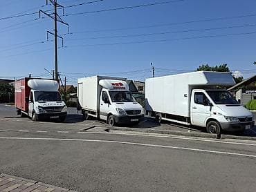 шполер: Грузоперевозки Грузоперевозки Грузоперевозки Грузоперевозки — 2