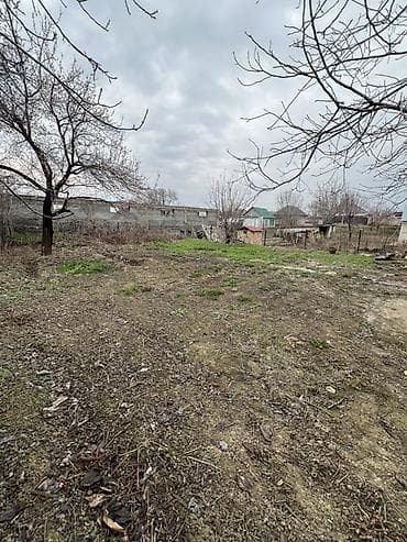 ала арча участок: 4 соток, Для строительства, Красная книга — 3