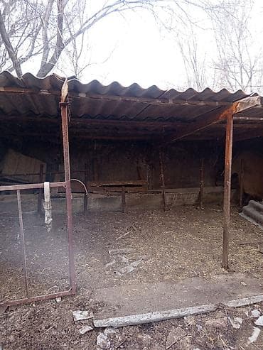 фучика 18 а: Продается дом 23 сотки. Есть красная книга. Присутствуют разные — 4