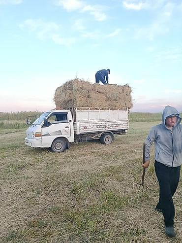 бишкектен уй сатылат: Портер тахи — 1