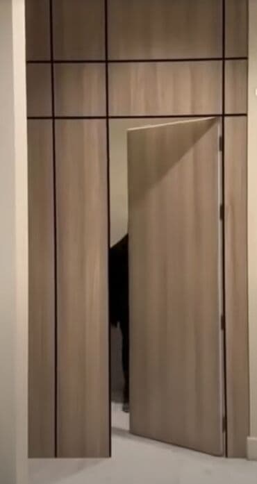 бу шкафы для кухни: Шкаф для раздевалки, Новый, ЛДСП, Бесплатная доставка — 12