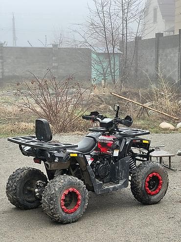 Квадроциклы: Квадроцикл Бензин, 250 куб. см, Взрослый — 8
