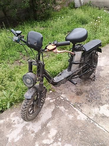 single speed: Электровелосипед — 1